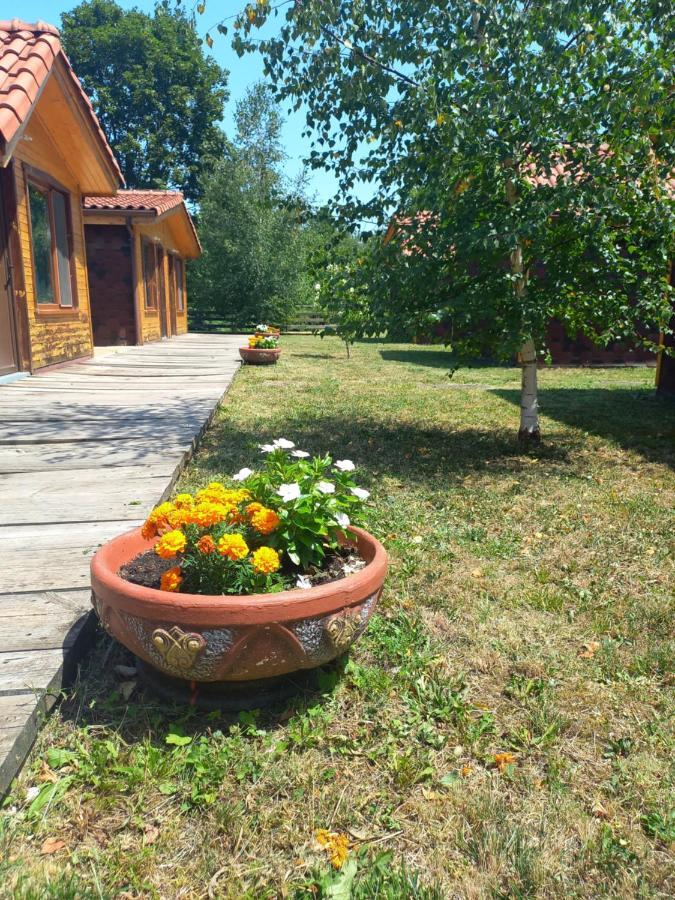 Вилно Селище Мировец Maluk Izvor  Exterior foto